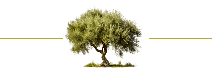 Le restaurant - Il Vesuvio - restaurant THONON-LES-BAINS